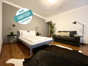 Budget Apartment by Hi5- Károly 16